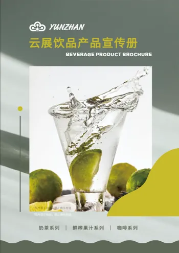 酒水飲料產(chǎn)品宣傳冊設(shè)計模板