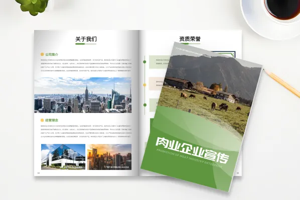 批發(fā)數(shù)字畫冊制作