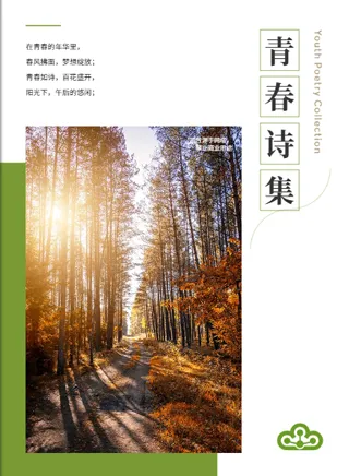 詩集畫冊(cè)書本設(shè)計(jì)模板