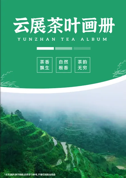 茶葉品牌介紹手冊(cè)設(shè)計(jì)模板免費(fèi)