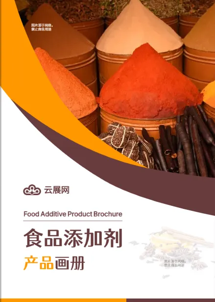 食品調(diào)味劑宣傳畫冊(cè)設(shè)計(jì)模板