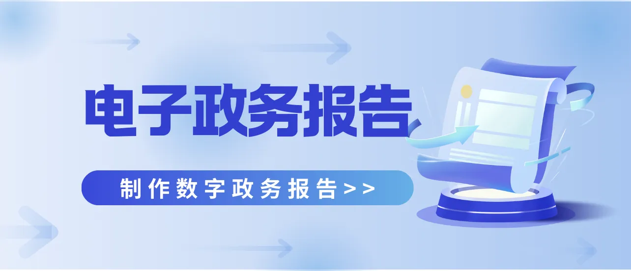 电子政务报告