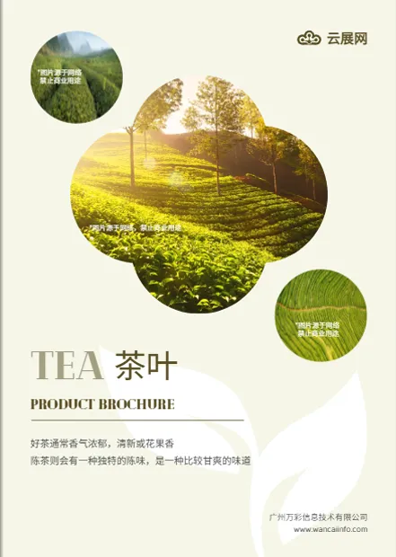 茶葉產(chǎn)品介紹手冊(cè)設(shè)計(jì)模板免費(fèi)