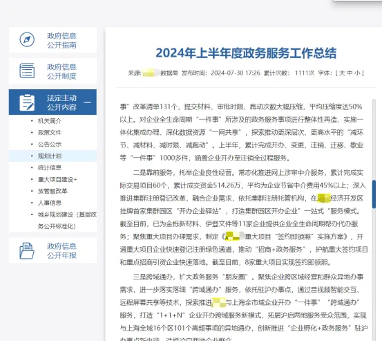 政务服务工作总结