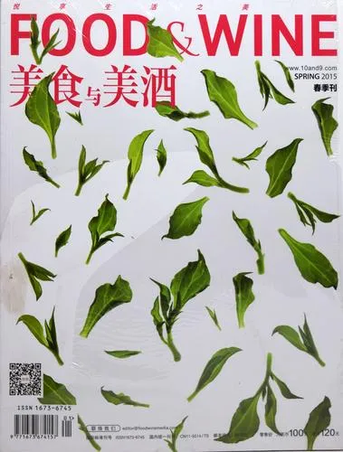 美食畫(huà)冊(cè)設(shè)計(jì)模板案例
