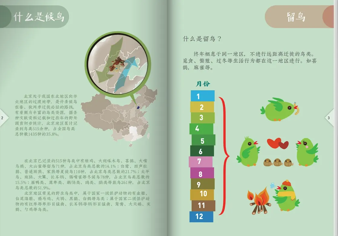 科普折頁怎么做