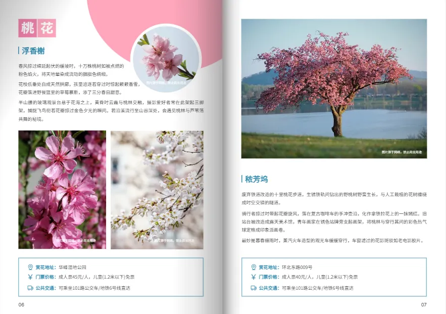 景區(qū)游玩旅游書(shū)籍免費(fèi)模板