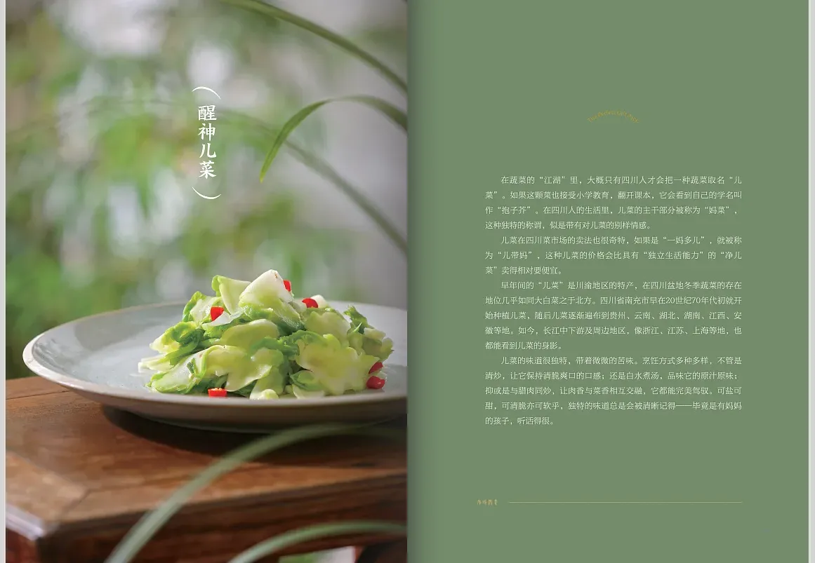 美食雜志排版技巧+PS設(shè)計全攻略，從零開始打造高顏值美食雜志