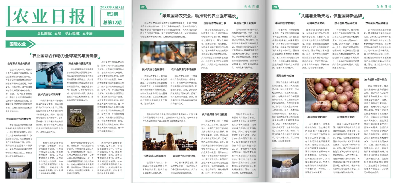 新聞報(bào)紙模板