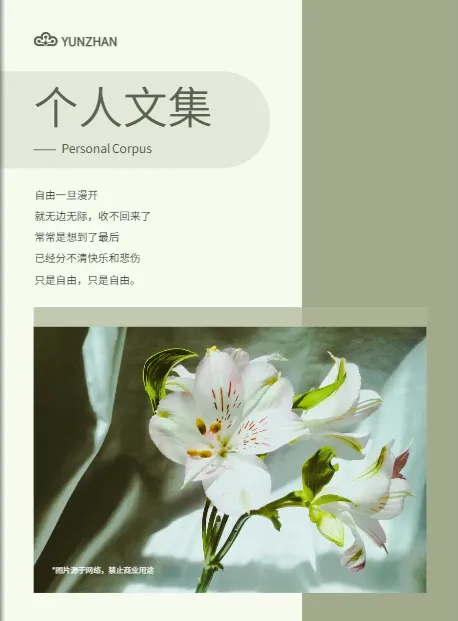 個(gè)人青春詩文集圖書免費(fèi)模板