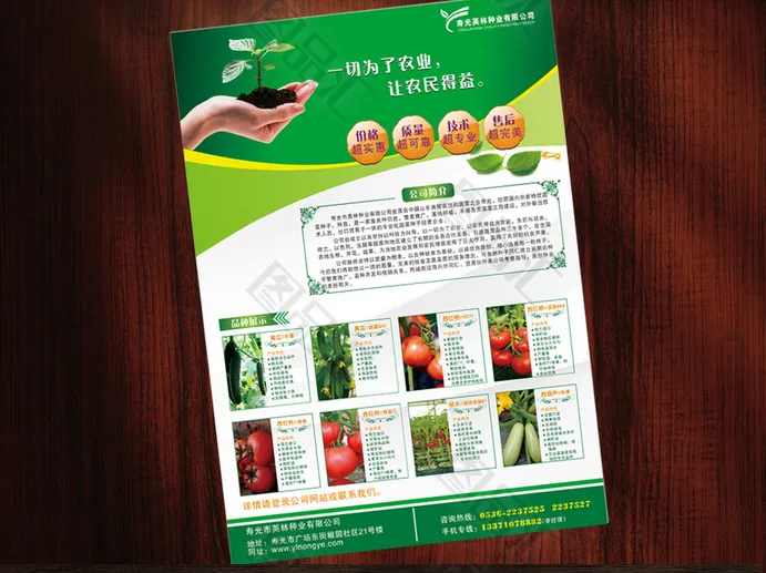 產(chǎn)品彩頁模板