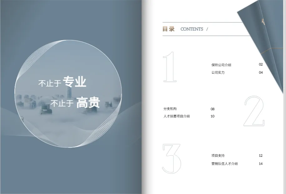 深灰與白色極簡(jiǎn)風(fēng)金融畫冊(cè)內(nèi)頁排版設(shè)計(jì)效果圖