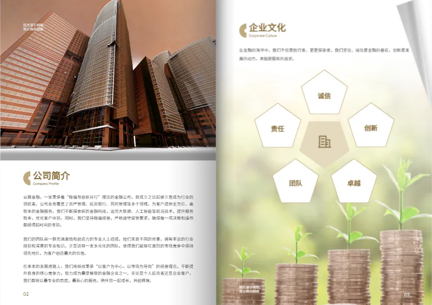 金融畫冊(cè)配色模板