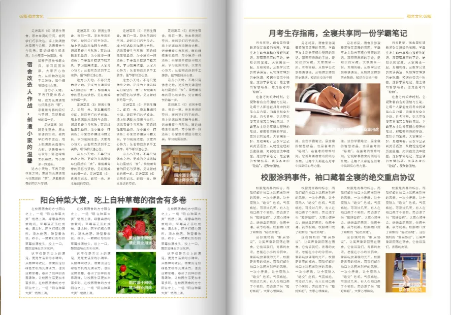 校園報(bào)刊排版模板-四開尺寸青春風(fēng)格設(shè)計(jì)