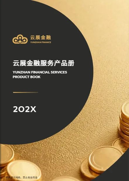 商務(wù)正式畫(huà)冊(cè)設(shè)計(jì)模板-金融服務(wù)產(chǎn)品手冊(cè)展示