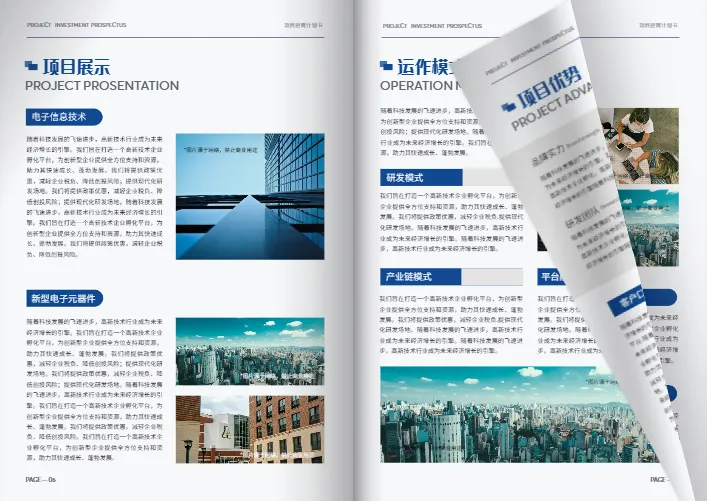 公司项目策划招商计划书模板