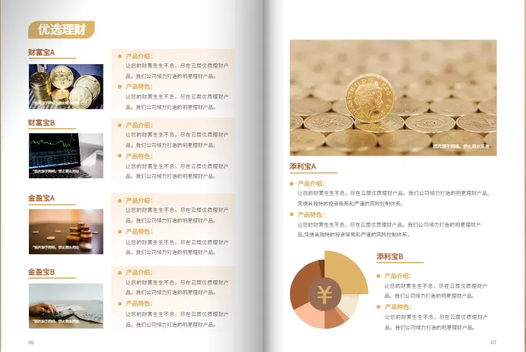 家庭理财规划手册内页模板展示