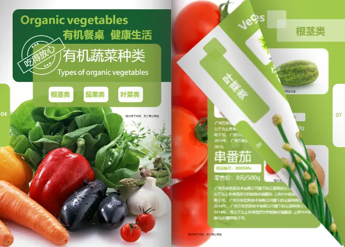 產(chǎn)品宣傳頁(yè)模板