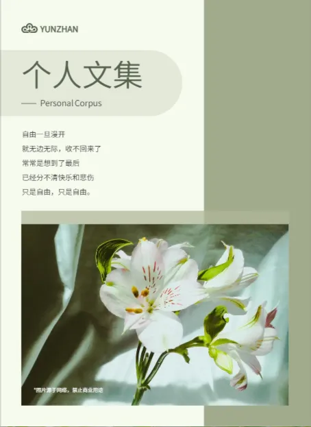 小清新个人青春诗文集画册模板