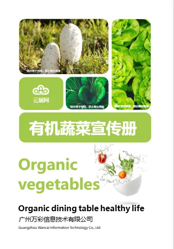 產(chǎn)品宣傳頁(yè)模板