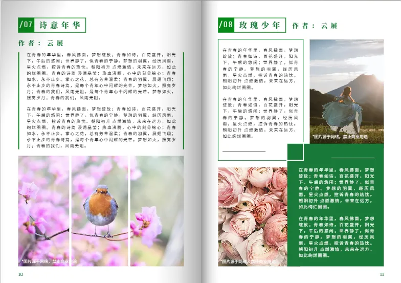 圖文混排效果書籍模板