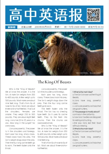 英语报纸栏式布局设计模板范例