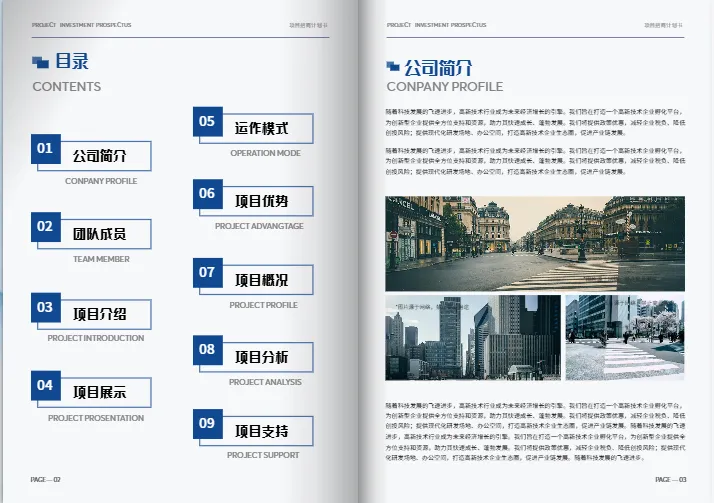 公司项目策划招商计划书模板