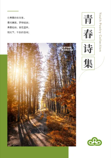 簡約現(xiàn)代散文青春詩文集模板