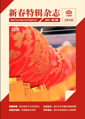 专业杂志封面与封底一体化设计风格对比示例