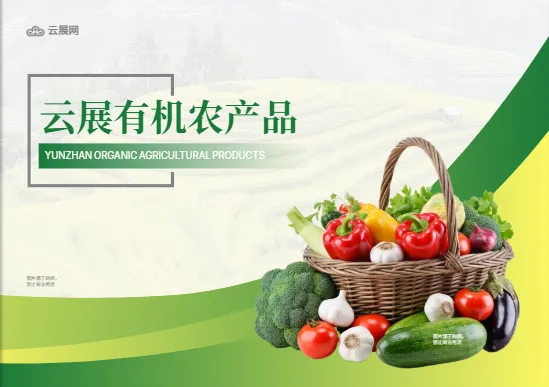 绿色有机瓜果蔬菜农产品横版画册模板