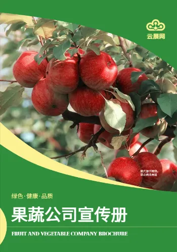 果蔬超市有機(jī)食品企業(yè)宣傳冊(cè)模板