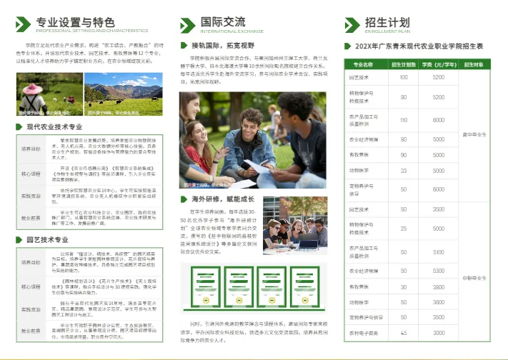 招生简章三折页设计