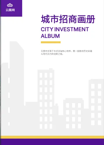 专业招商模板预览