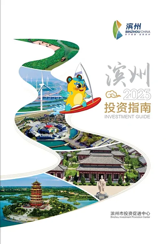 画册封面设计-线条形状