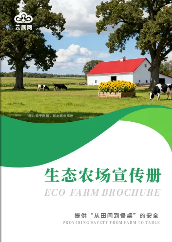 企业宣传册模板制作案例