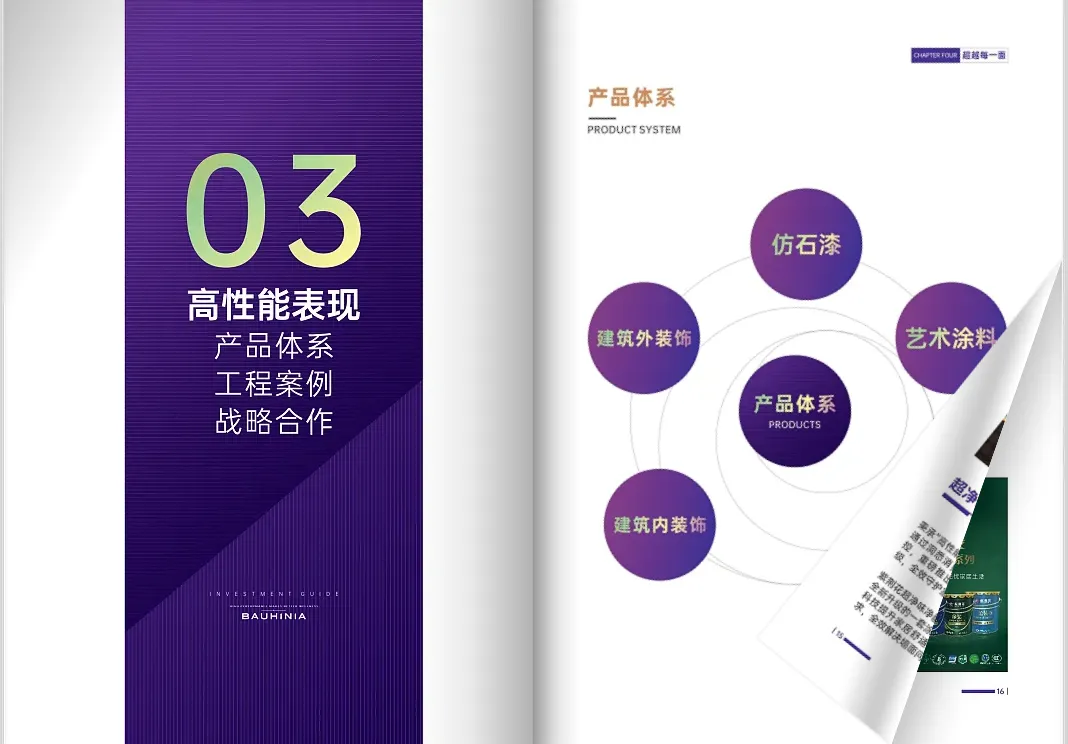 招商宣传册第四章内容示例：合作案例或与核心产品