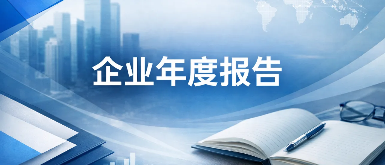 企业年度报告