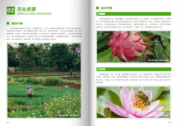 乡村振兴农村小镇招商引资宣传册模板